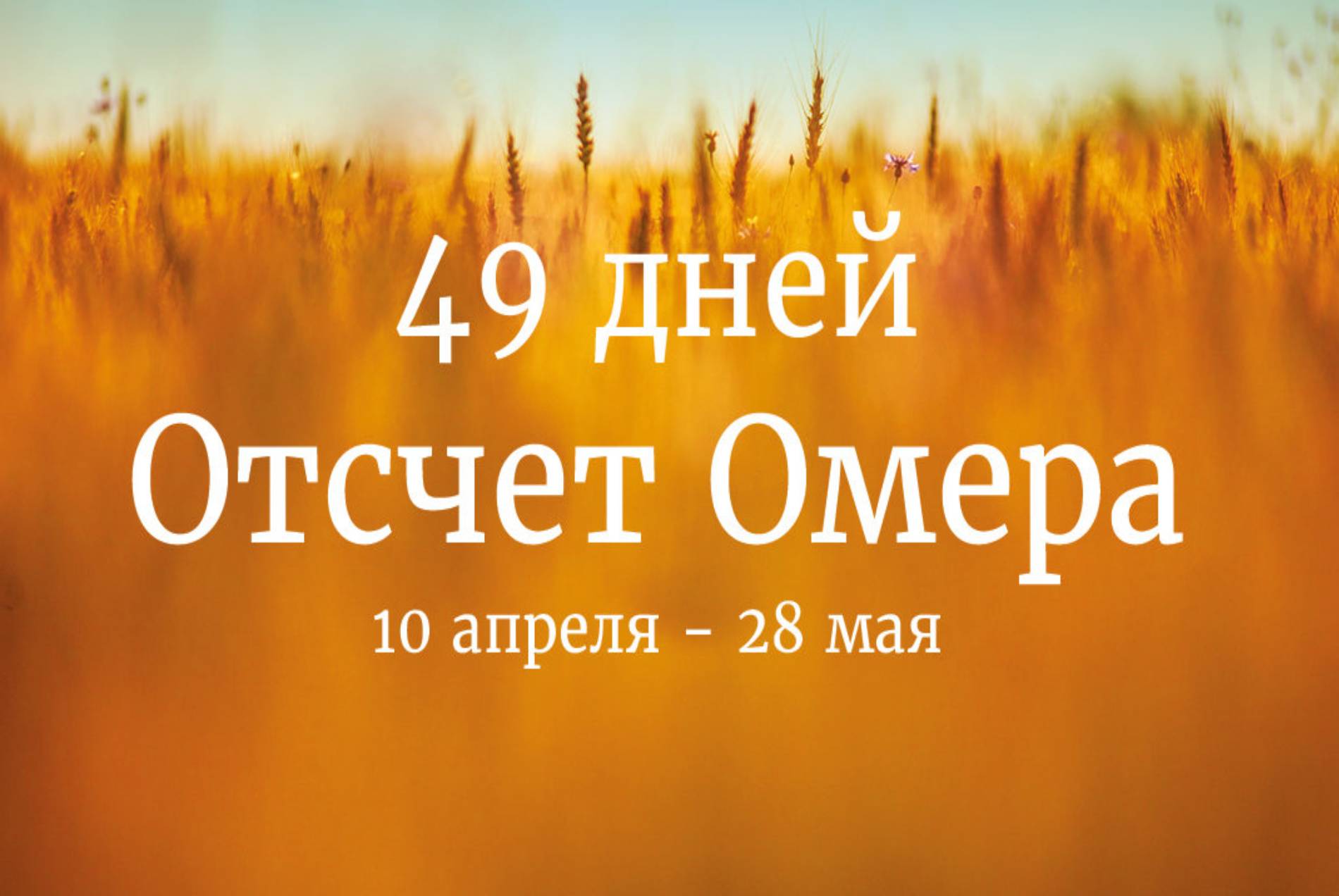 Счет Омера (Сфират а-Омер): в чем смысл, как правильно считать, законы и обычаи траурного периода